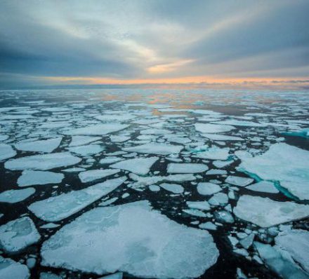 NAVIGATING THROUGH THE SEA ICE