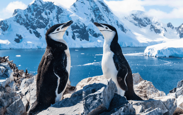 Silversea Limited Time Offer!