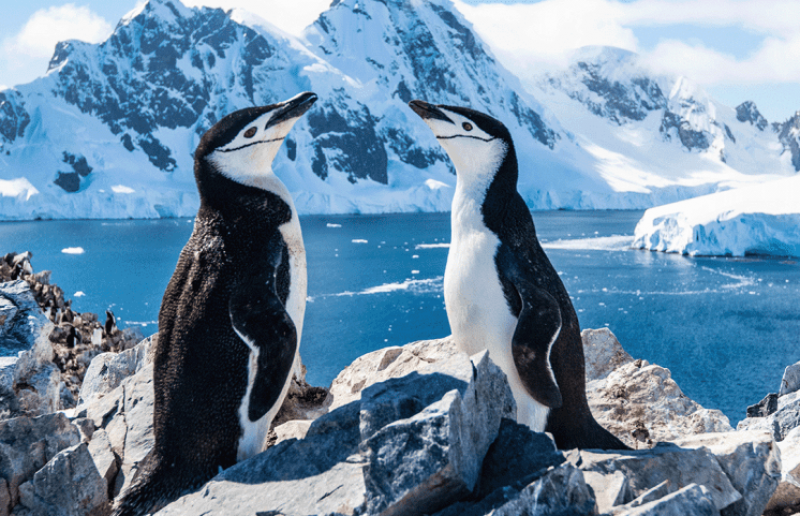 Silversea Limited Time Offer!