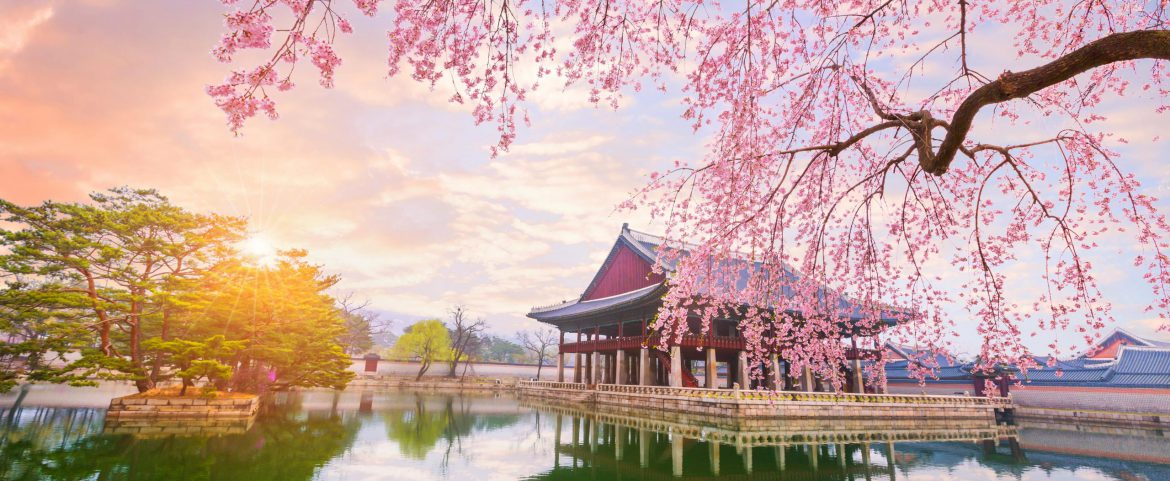 south korea luxury tours