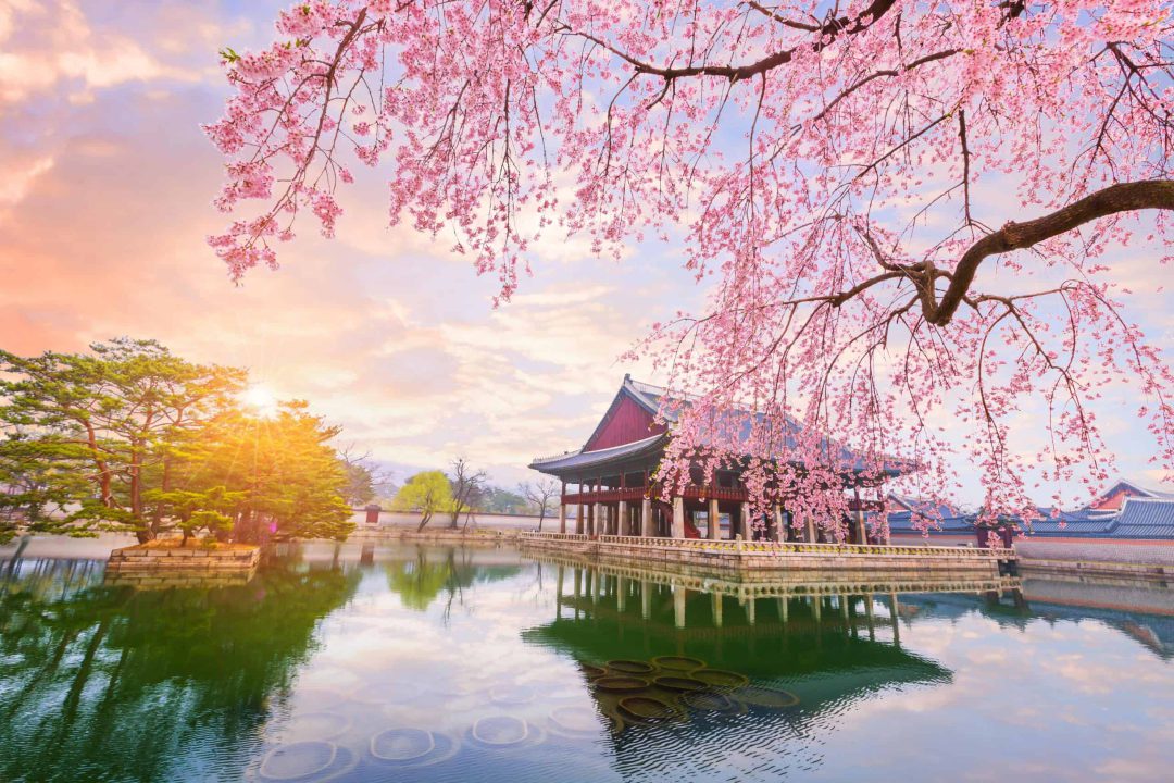 south korea luxury tours