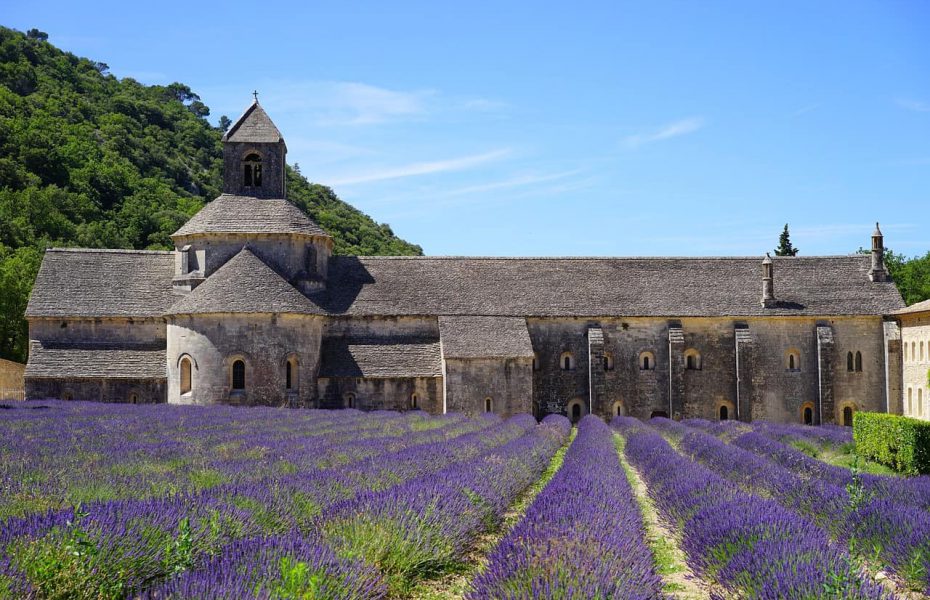 The Countryside of Provence