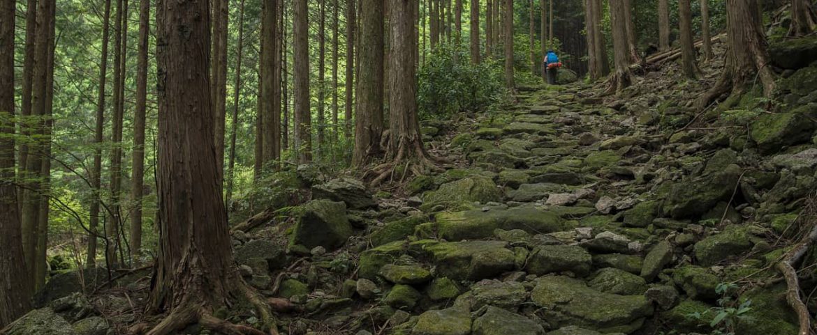 Hike the Kumano Kodo Trail