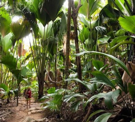 29 AUG 2023 (TUE) MAHE / PRASLIN / LA DIGUE / MAHE