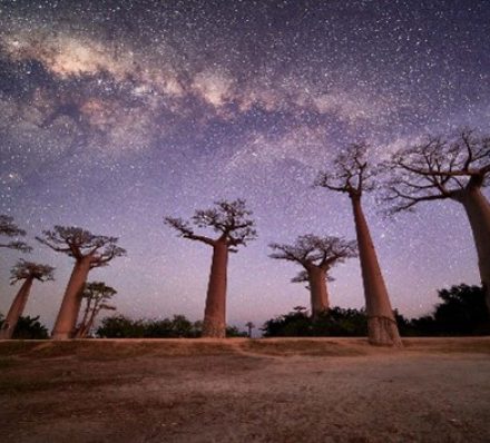 18 AUG 2023 (FRI) KRINDY / MORONDAVA 