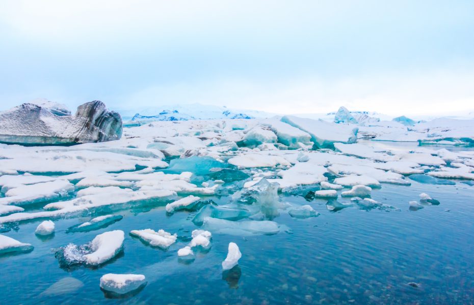 An Unforgettable Arctic Adventure