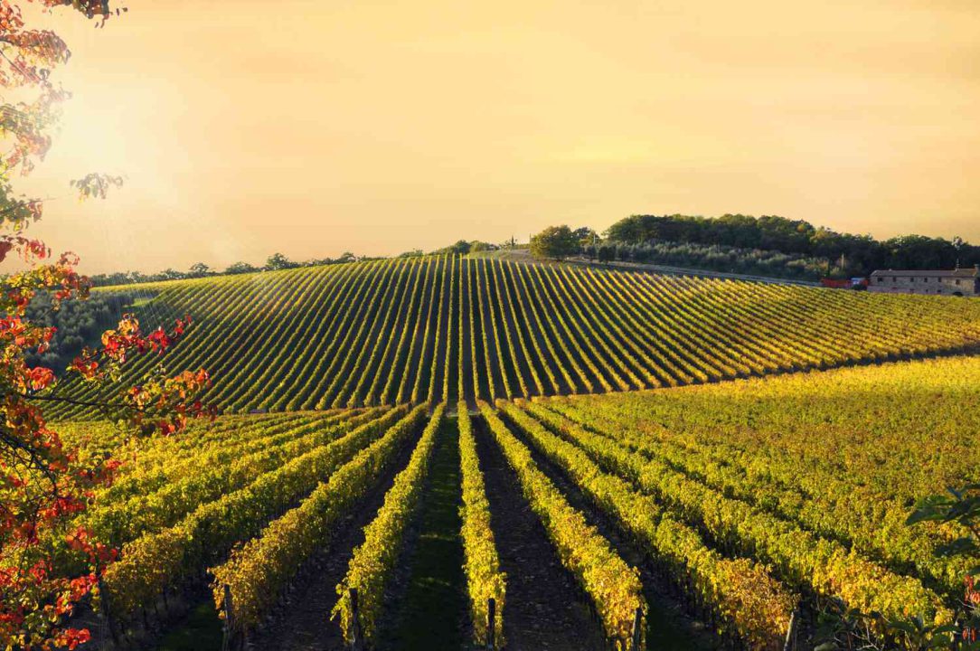 luxury tuscany tour
