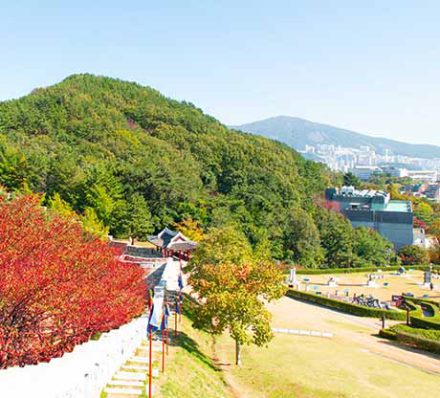 05 APRIL 2024 (FRI) BUSAN