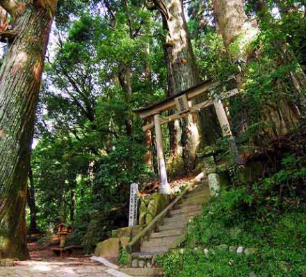 28 MAR (THU) MT. KOYA / CHIKATSUYU / KAWAYU