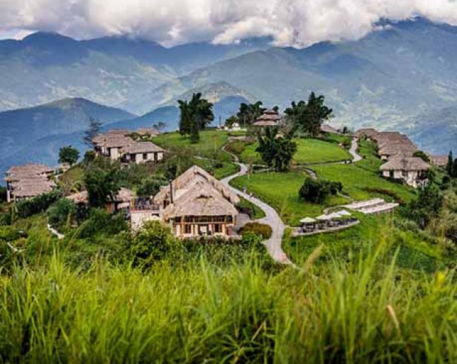 Sapa