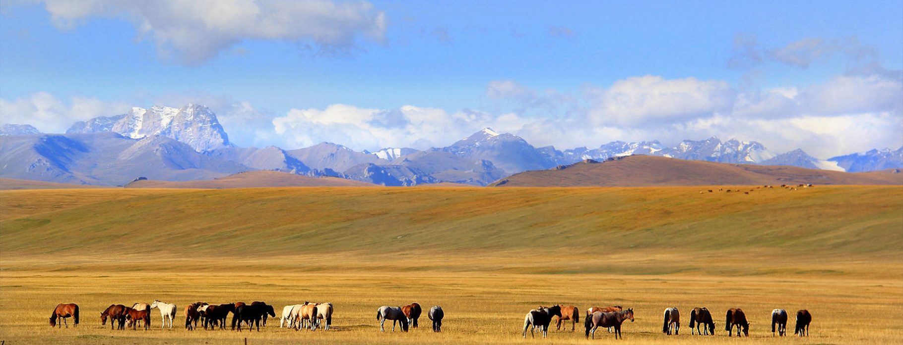 Xinjiang & Silk Road