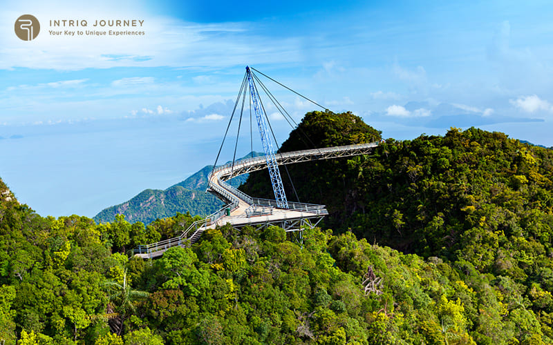 Langkawi's Rainforest