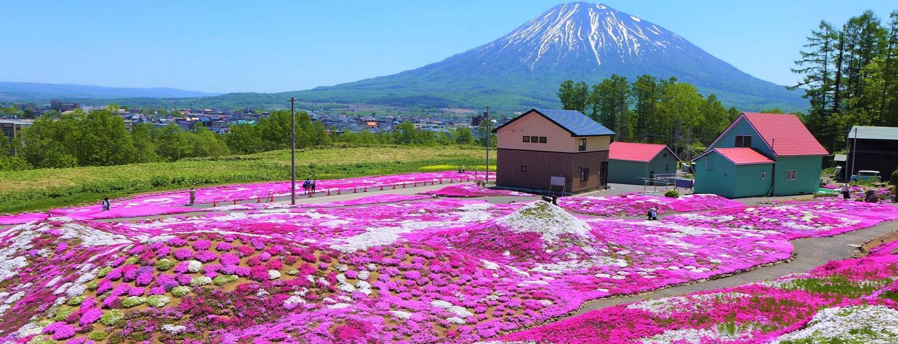 7 Days Unveiling Japan’s Alpine & Coastal Hideaways