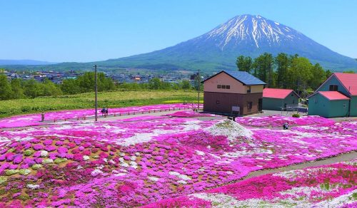 7 DAYS UNVEILING JAPAN’S ALPINE & COASTAL HIDEAWAYS