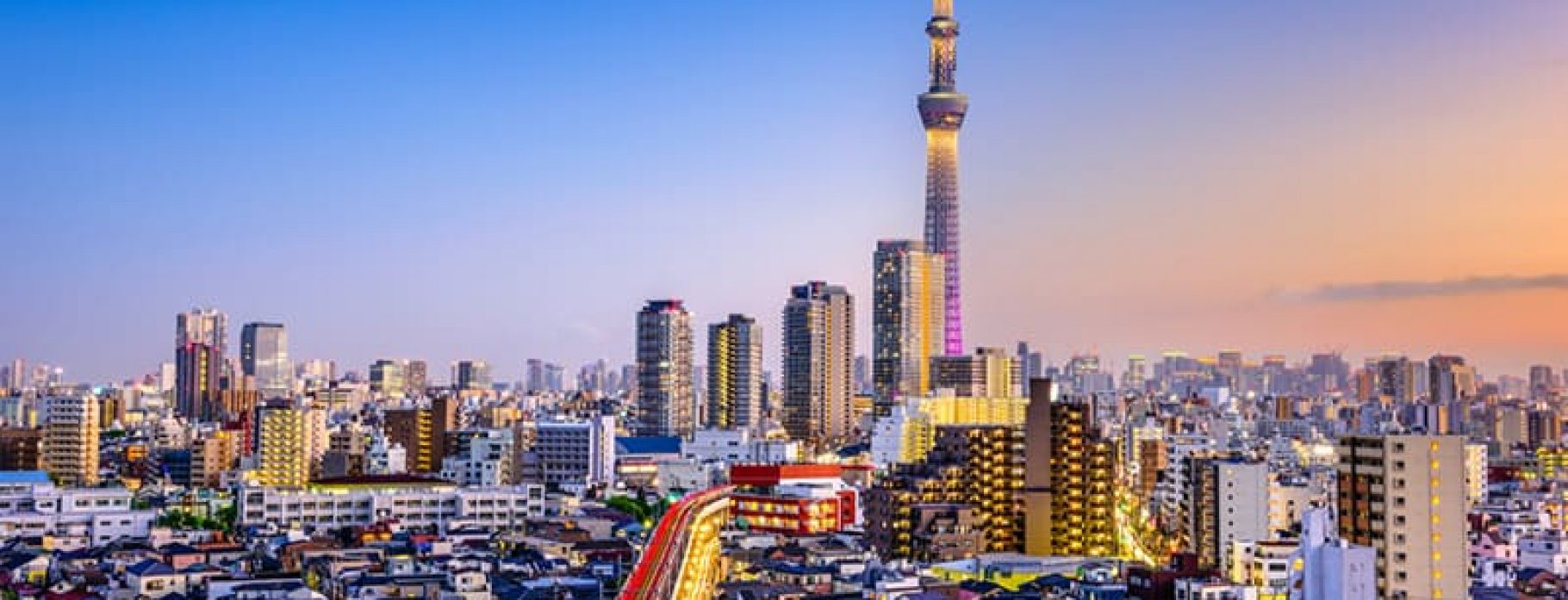 Tokyo's Cityscape