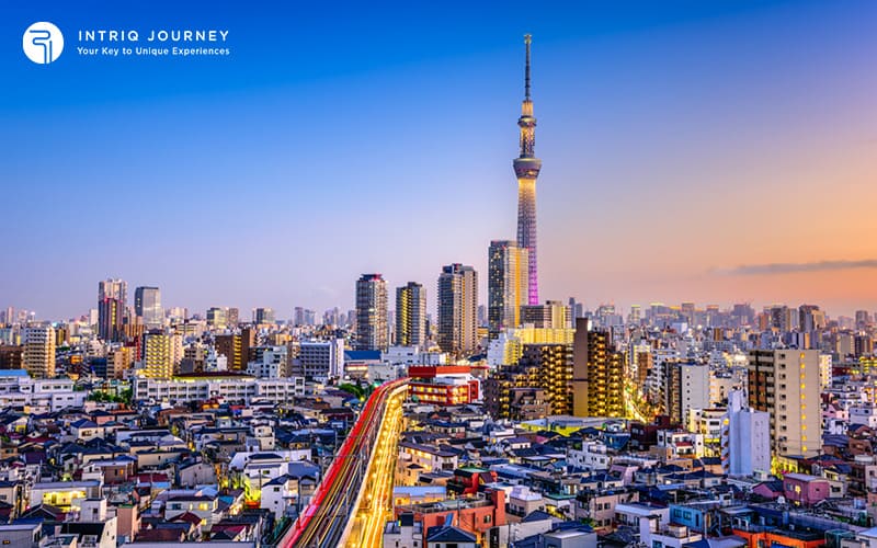 Tokyo's Cityscape