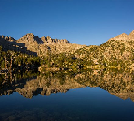 PYRENEES