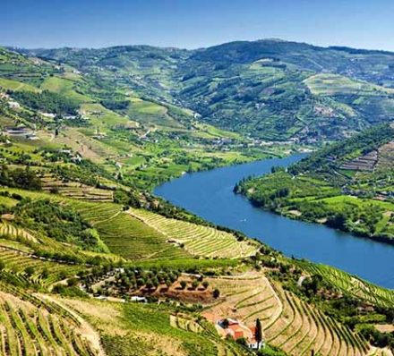 DOURO VALLEY