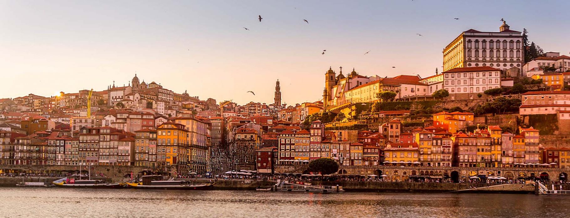 10 Days Cruising Douro River Valley's Panoramic Vistas & Vineyards