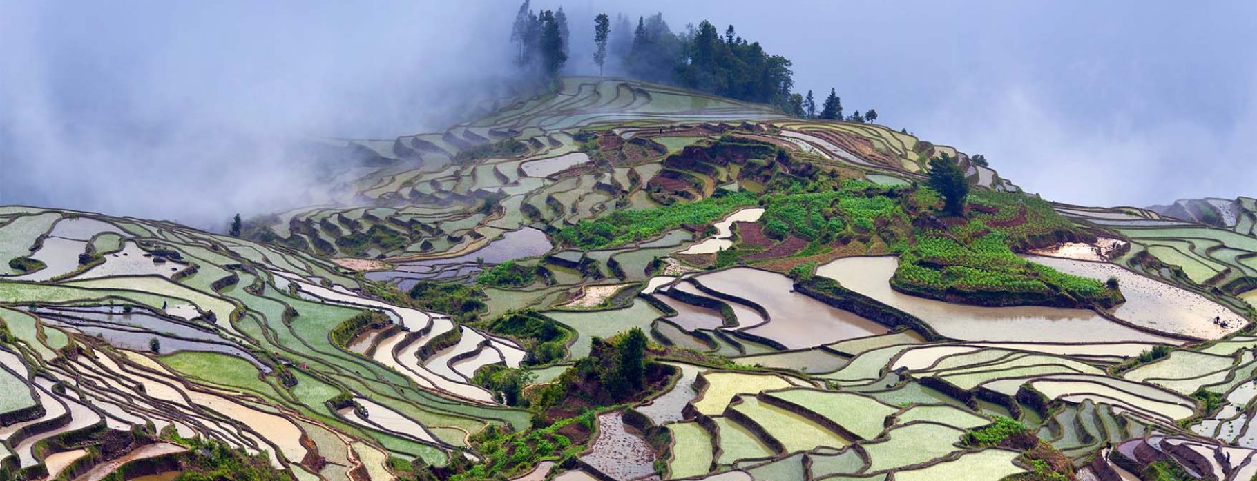 7  DAYS MARVEL OF YUANYANG RICE TERRACES
