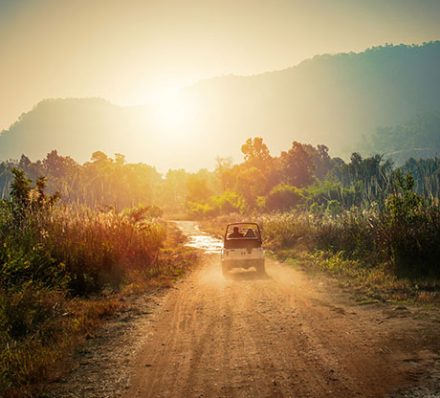 Delhi - Bandhavgarh National Park