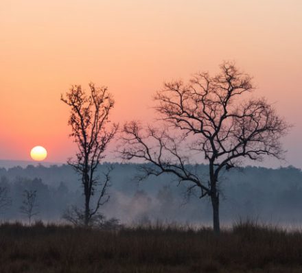 Bandhavgarh to Kanha 