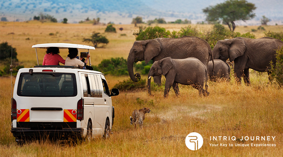 Game Drive Tanzania