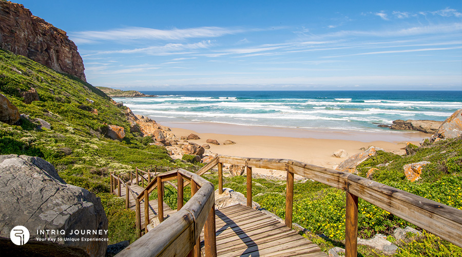 Garden Route South Africa