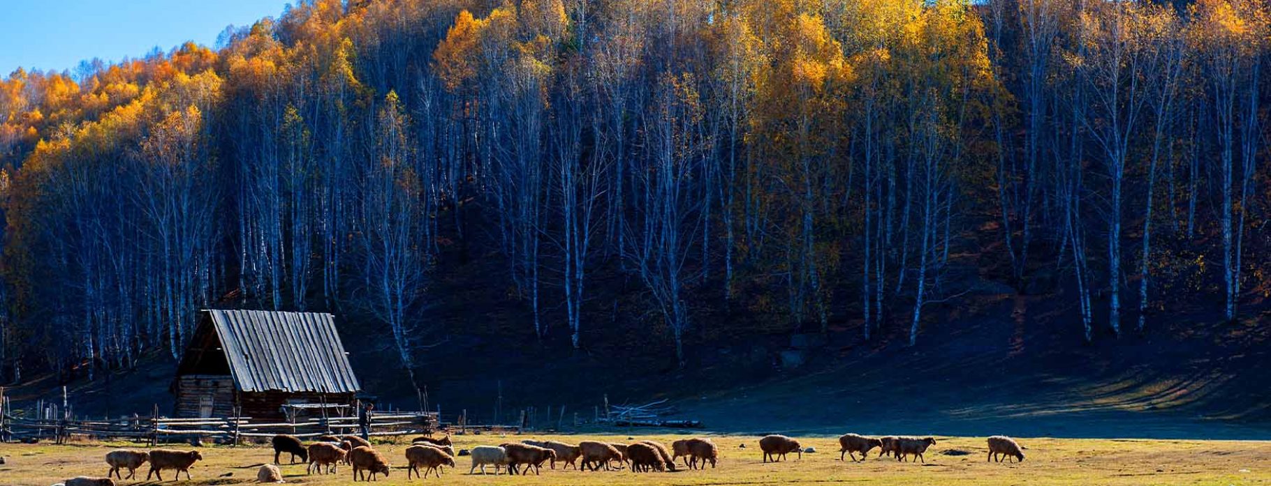 10 DAYS NORTHERN XINJIANG: GRAND SCENIC ADVENTURES