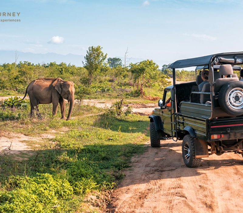South Africa