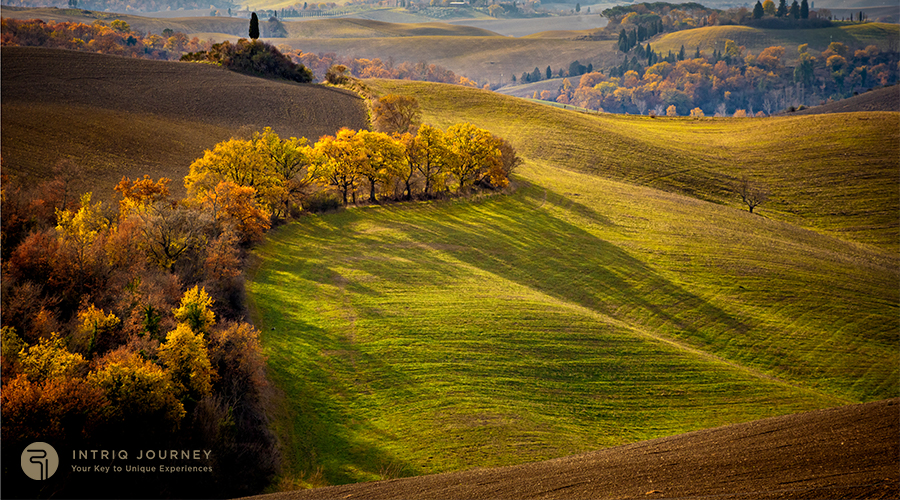 Tuscan Farm