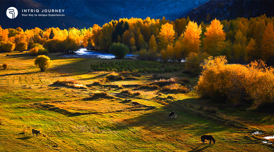 Xinjiang, China