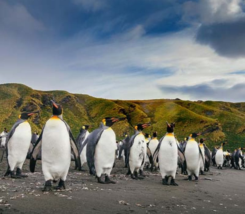 Antarctica