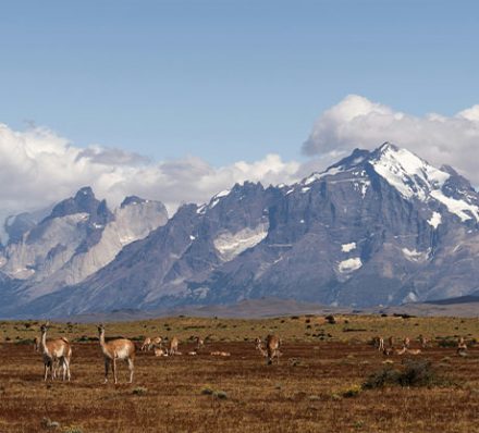 Punta Arenas / Torres del Paine