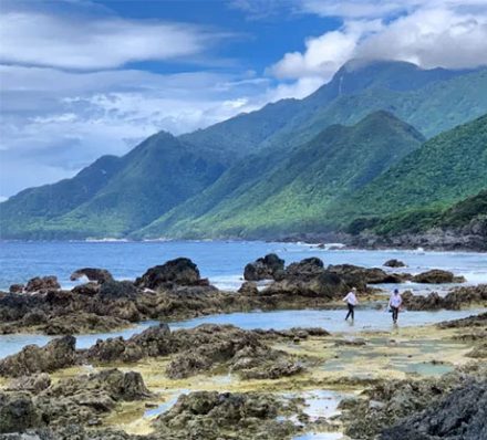 Yakushima Island 