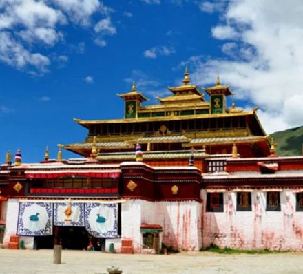 LHASA / SHANNAN