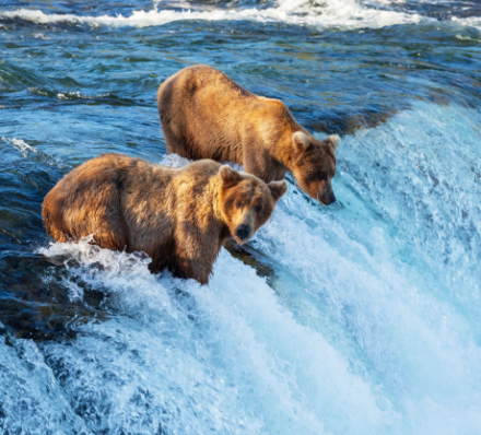 Kachemak Bay State Park