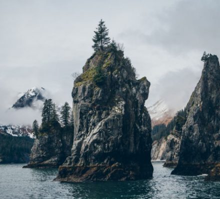 Kenai Fjords National Park