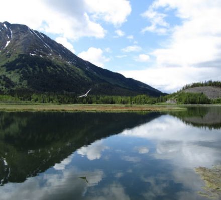 Kenai Fjords National Park - Kachemak Bay State Park