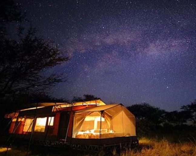 Serengeti