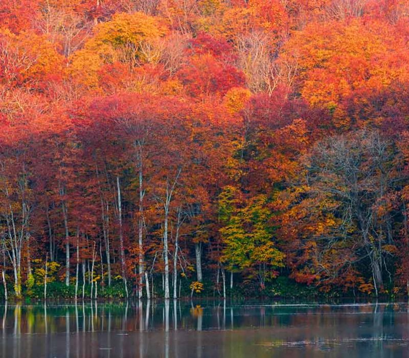 Autumn in Aomori
