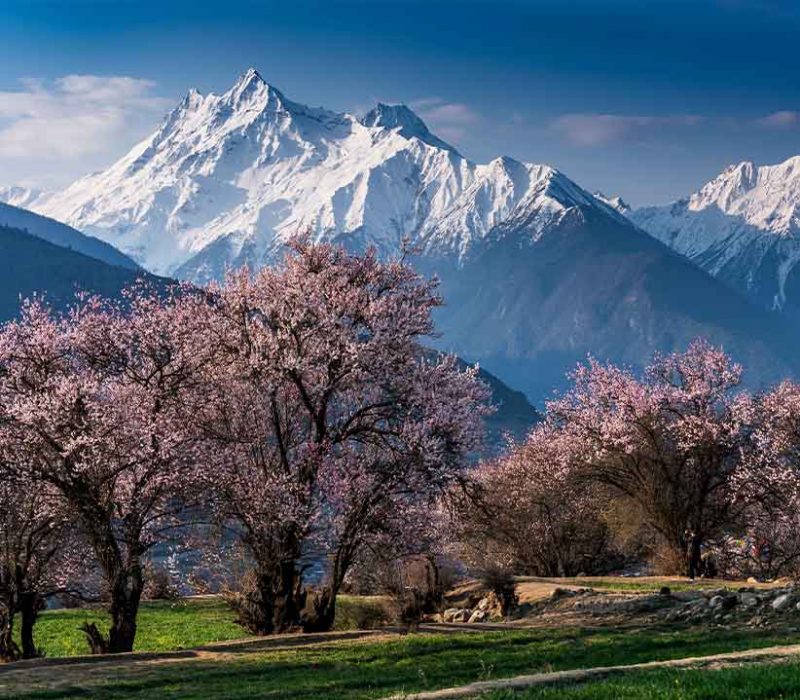 Tibet & Qinghai
