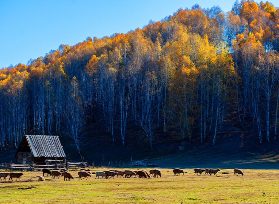 The enchantment of Xinjiang