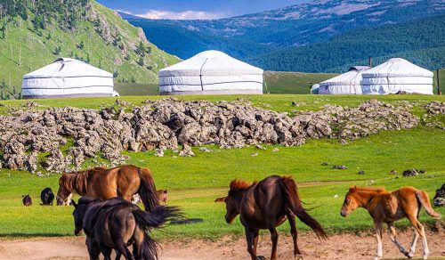 *NEW* 9 DAYS THE NOMADIC TRAILS OF MONGOLIA (12 – 20 AUG 2027)