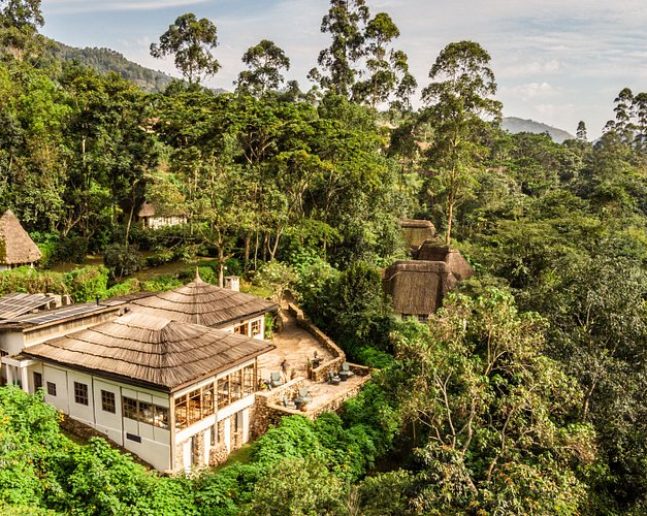 Bwindi NP