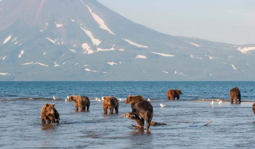 *NEW* 10 DAYS RUSSIAN FAR EAST: UNTOUCHED WILDERNESS & FORGOTTEN HISTORY (15 – 24 Aug 2026)