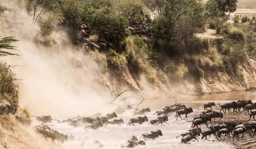 *NEW* 9 DAYS TANZANIA MIGRATION SAFARI (18 – 26 Jul 2026)