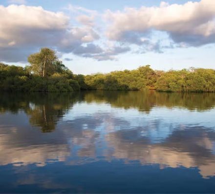 BOLIVAR CANAL / FERNADINA / ISABELA