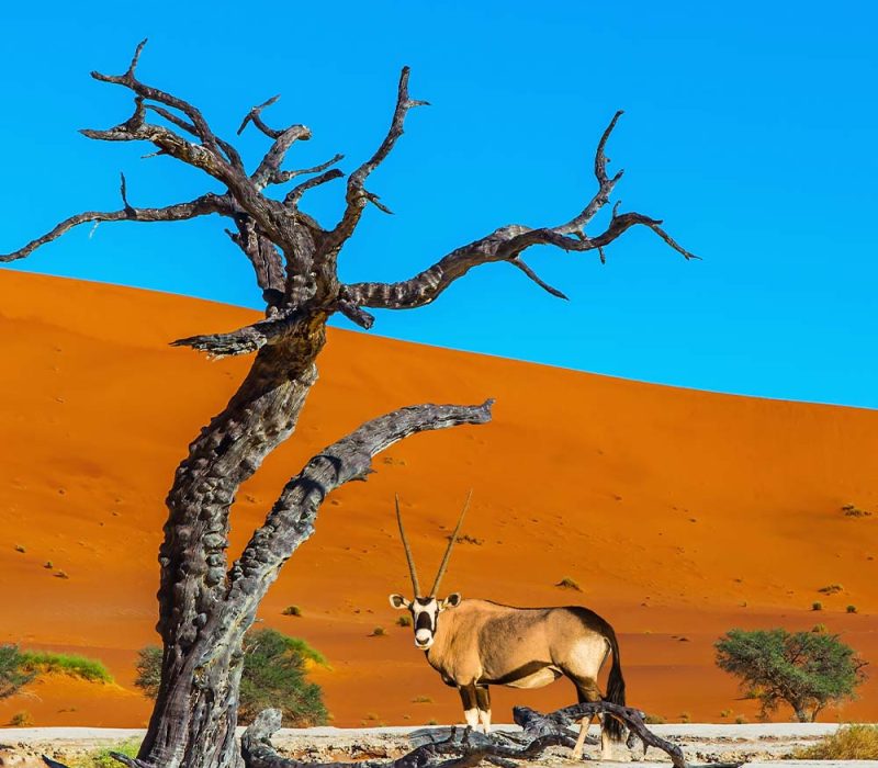 Namibia