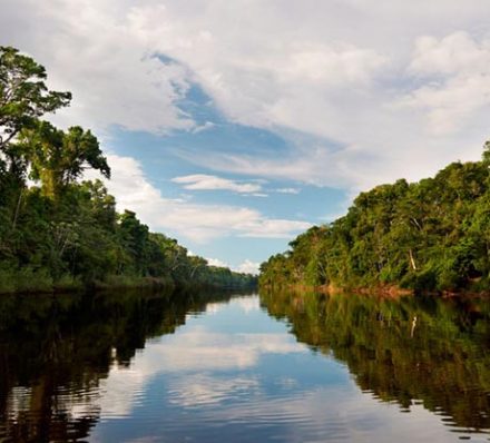 MARANON RIVER / YANAYACU PUCATE RIVER